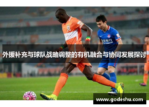 外援补充与球队战略调整的有机融合与协同发展探讨