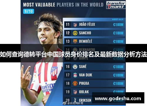 如何查询德转平台中国球员身价排名及最新数据分析方法