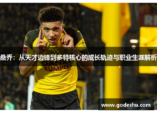 桑乔:从天才边锋到多特核心的成长轨迹与职业生涯解析 桑乔:从天才边锋到多特核心的成长轨迹与职业生涯解析
