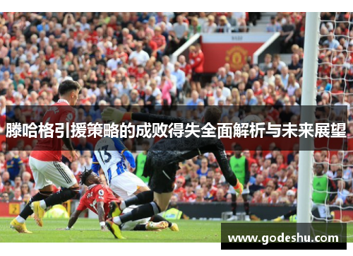 滕哈格引援策略的成败得失全面解析与未来展望