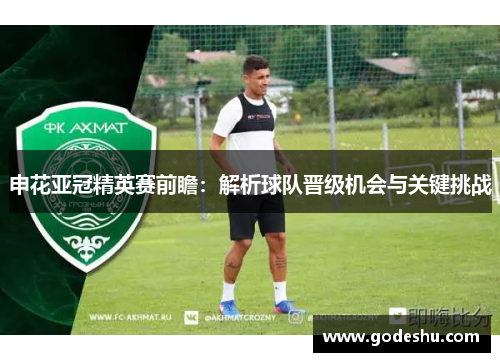 申花亚冠精英赛前瞻：解析球队晋级机会与关键挑战