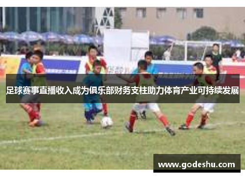 足球赛事直播收入成为俱乐部财务支柱助力体育产业可持续发展